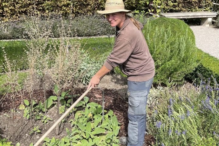 Gärtnerin Medizinhistorisches Museum DMMI Alte Anatomie Arzneipflanzen Garten scaled
