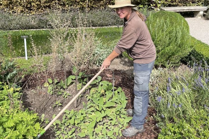 Gärtnerin Medizinhistorisches Museum