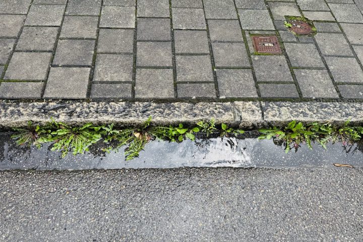 Bewachsene Abfallrinnen