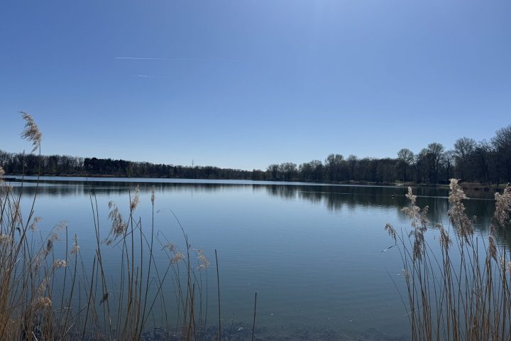 Baggersee
