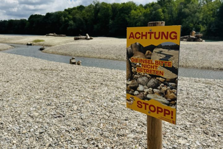 Schutzzone Donau
