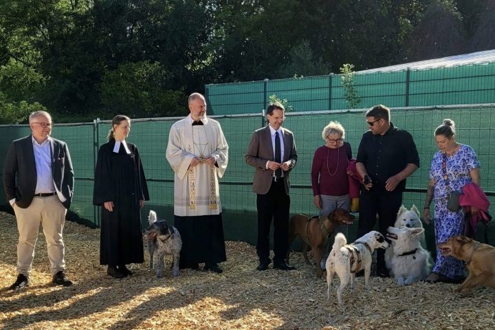 Hundewiese Eröffnung