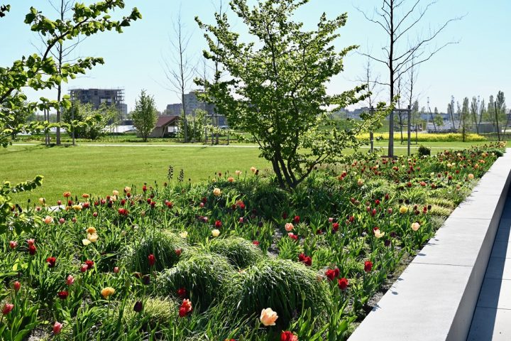 LGS_Parkterrasse_Schalles