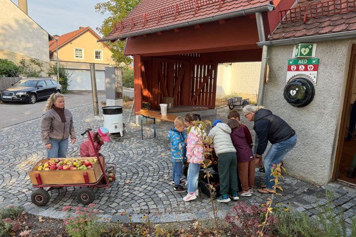 Obstpresse-Schlittenlohr