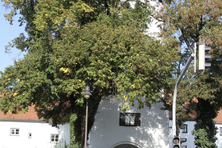 Von Franconia - Eigenes Werk, CC BY-SA 3.0, https://commons.wikimedia.org/w/index.php?curid=17226257