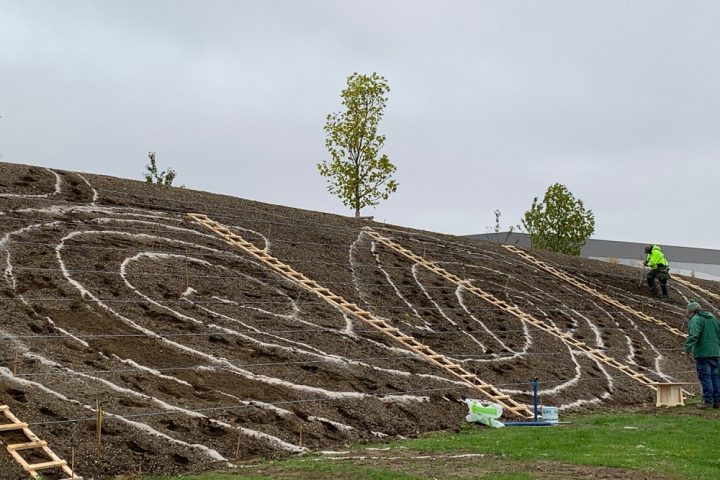 Zwiebelstecken©Landesgartenschau Ingolstadt 2020
