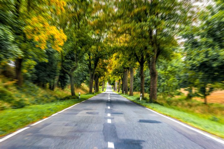 A long straight road stretching through lush green trees, symbolizing motion, direction, and harmony between nature and modern transport.