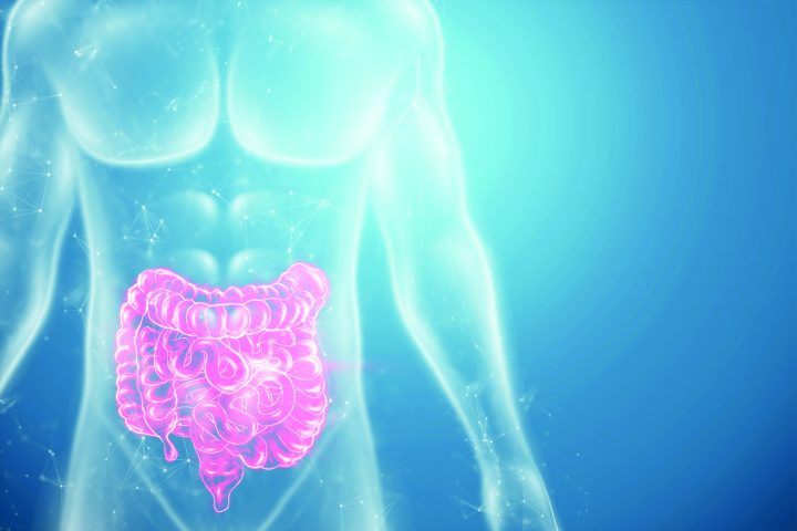 A holographic projection of a red irritable bowel scan with medical data. The concept of abdominal pain, bowel problems, constipation, modern medicine.3D illustration, 3D render