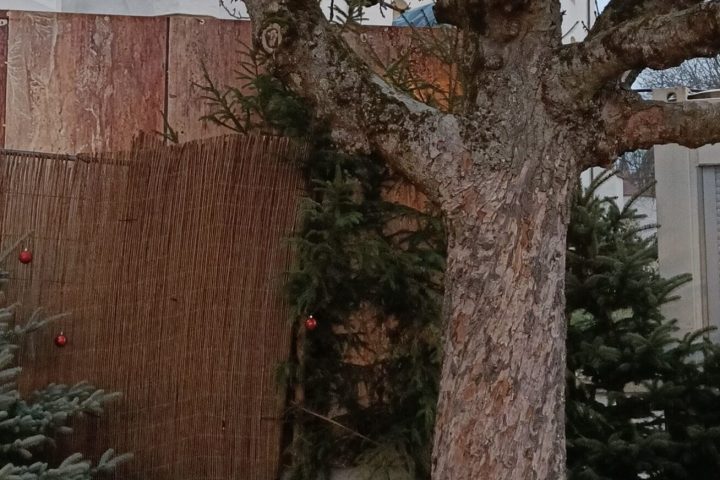 runde bank dezember 25