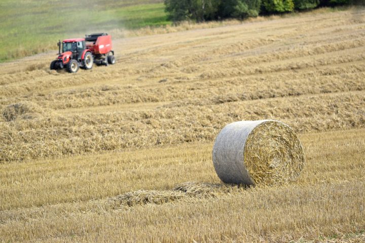 tractor-field