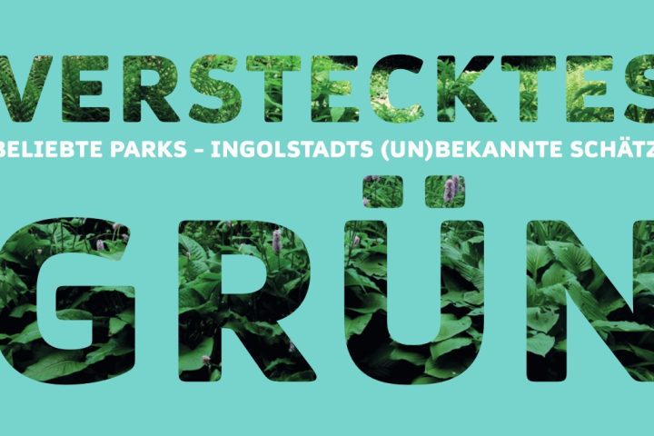 verstecktes-gruen_titel